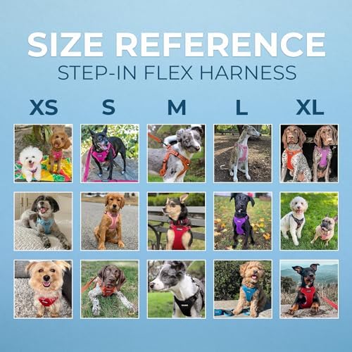 Voyager Step-in Flex Adjustable Dog Harness