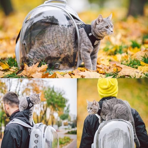 Cat Backpack Carrier, Pet Cat Carrier