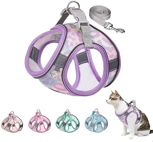 Step in Mesh Dog Harness and Leash Set