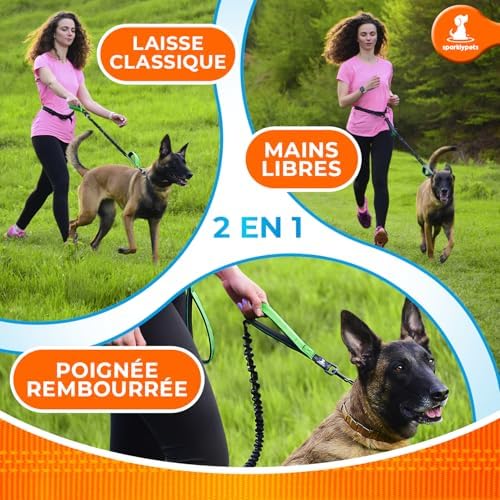 SparklyPets Hands Free Dog Leash, Medium & Large Breeds