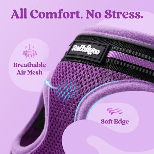 rabbitgoo Cat Harness and Leash Set, Step-in Soft Vest