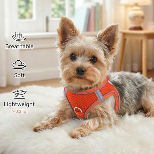 Joytale Step-in Dog Harness, Soft Breathable Mesh