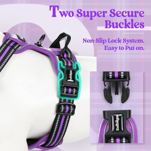 rabbitgoo Dog Harness, No Pull Medium Sized