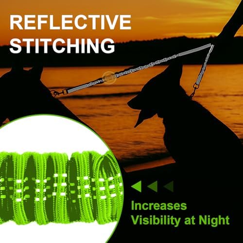 MingXpet 2 Dog Leash, Dog Leash