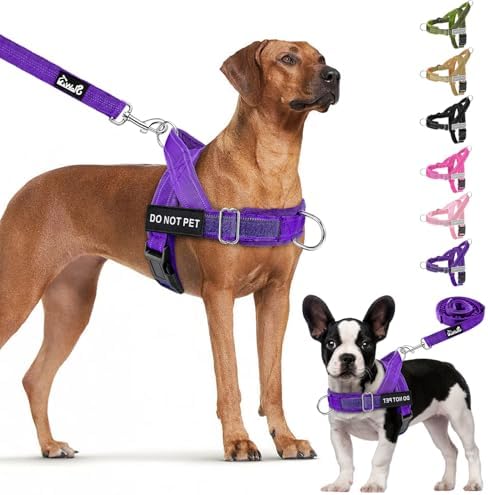 Lukovee No Pull Dog Harness and Leash Set, Soft Padded