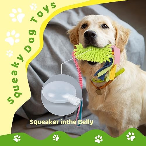 wodoca Dog Tug Toys