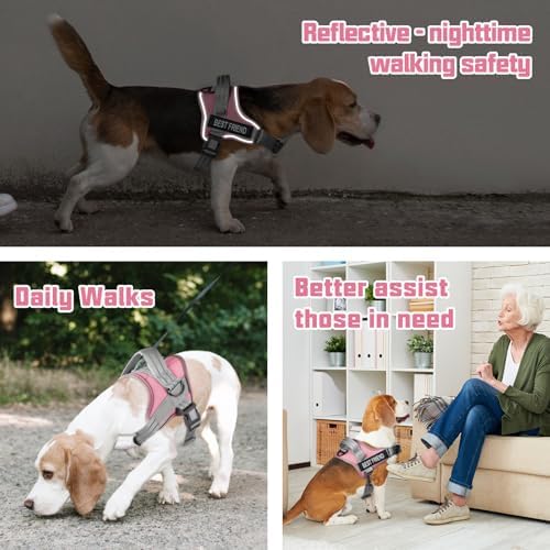 AUROTH Dog Harness and Leash Set Small Sized Dog, No Pull Escape Proof Vest