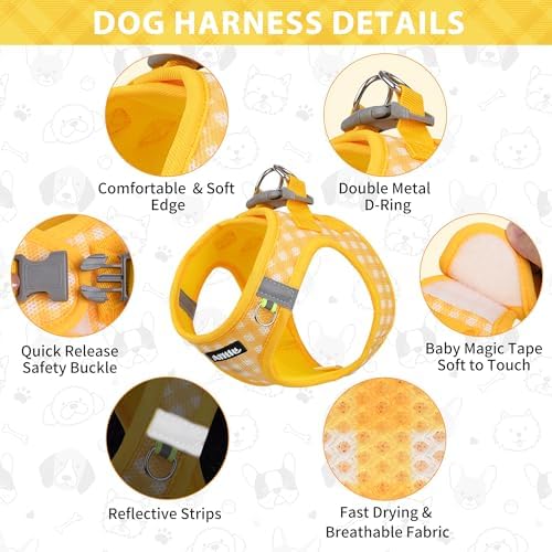 AIITLE Step in Medium Dog Harness and Leash Set, Puppy Pet Vest