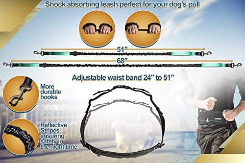 SparklyPets Hands Free Dog Leash, Medium & Large Breeds, Premium Teal