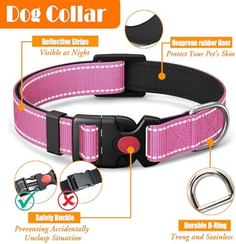 LOBEVE No Pull Dog Harness, Collar & Leash Set