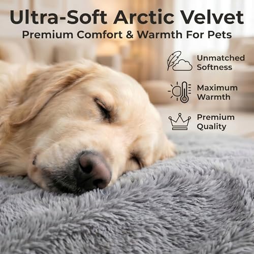 Orthopedic Medium Dog Bed 30 x 20Inch, L Shaped Memory Foam Pet Bed