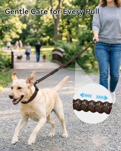 Joytale Tactical Bungee Dog Leash, Shock Absorbing No Pull