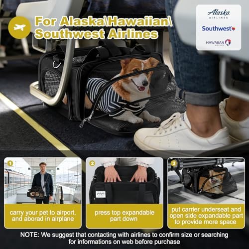 pidipiti 17x11x9.5 Soft-Sided pet Carrier,