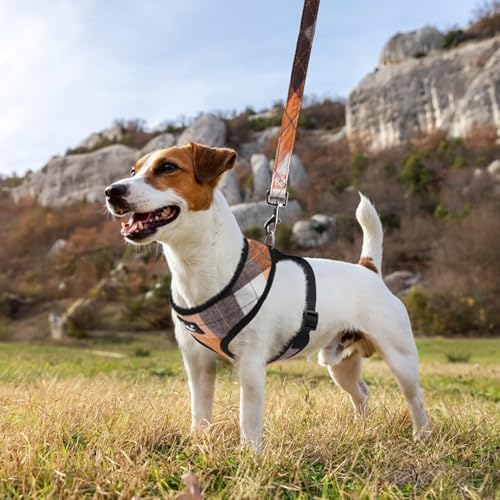PUPTECK Small Dog Harness and Leash Set No Pull