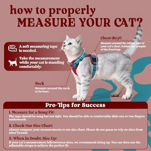 rabbitgoo Cat Harness and Leash Set, Escape Proof Vest