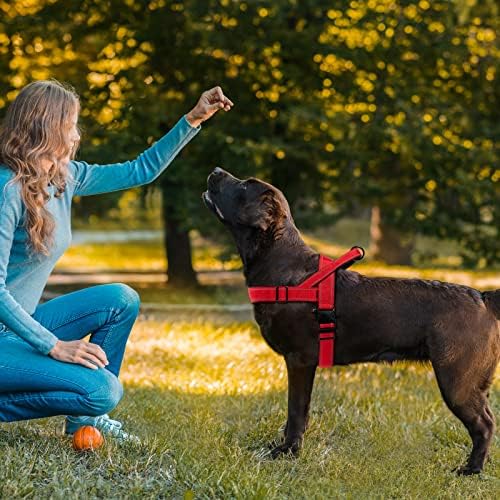 Red No Pull Dog Harness for Small Medium Large Sized Dog, Reflective Escape