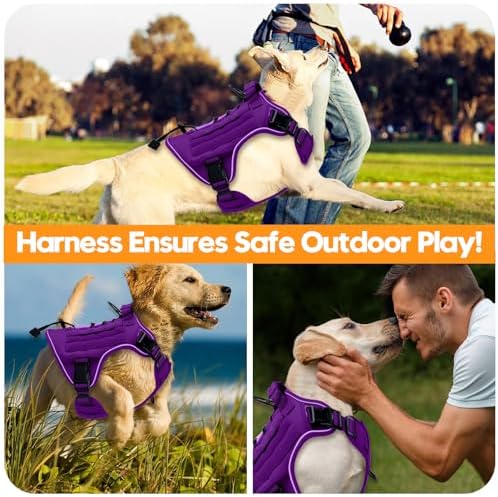 Heavy-Duty Tactical Dog Harness