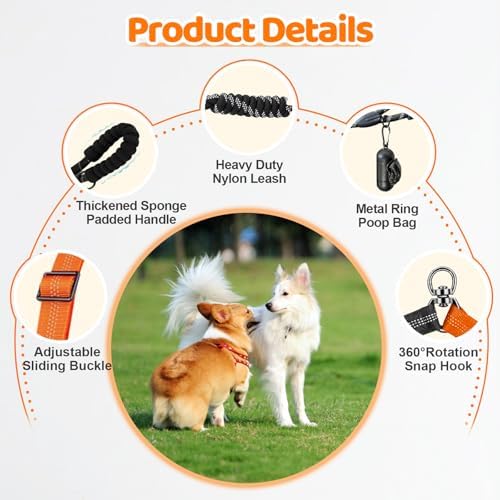 Double Dog Leash
