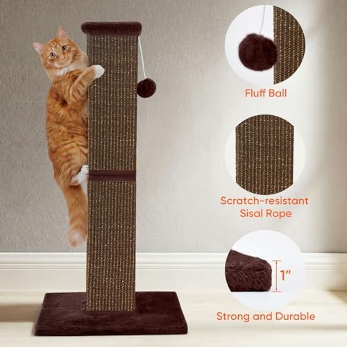 Cat Scratching Post for Indoor Cat, 32 Inch Large Cat Scratcher
