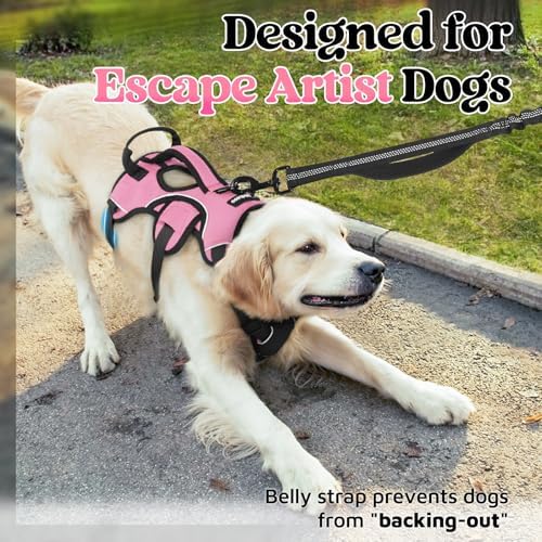 rabbitgoo Escape Proof Dog Harness