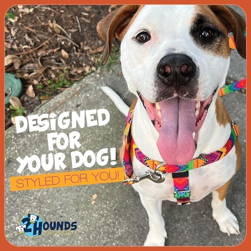 2 Hounds Design Freedom No Pull Dog Harness and Leash
