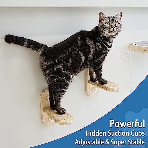 PETKARAY Cat Window Shelf, Original Cat Window Perch Stairs, Durable Kitty Seat
