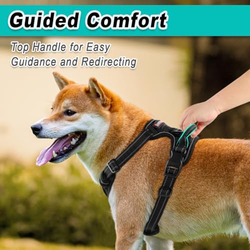 BARKBAY Dog Harness for Medium Sized Dog No Pull 2 Leash Clips Dog Vest