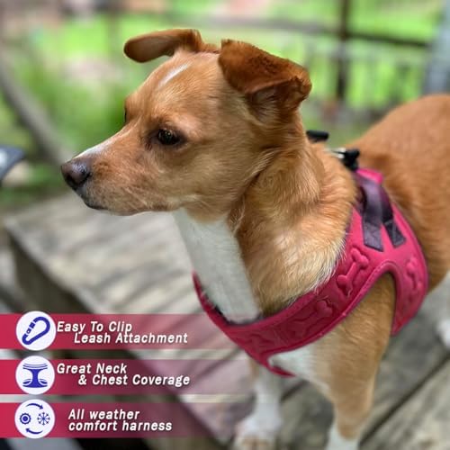 Comfort fit Step-in Dog & Puppy Harness