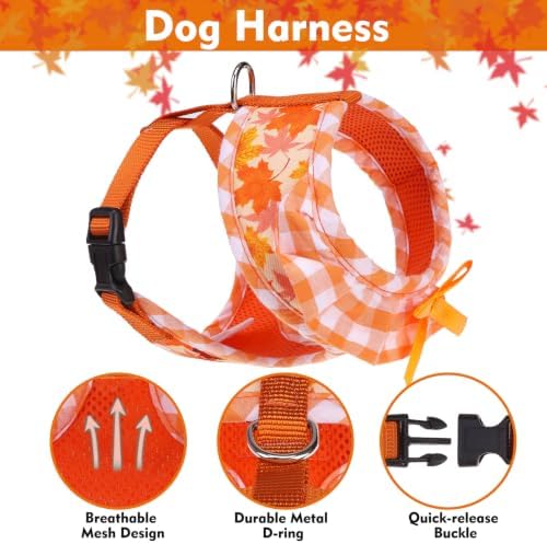 EXPAWLORER Fall Dog Harness and Leash Set Small Sized