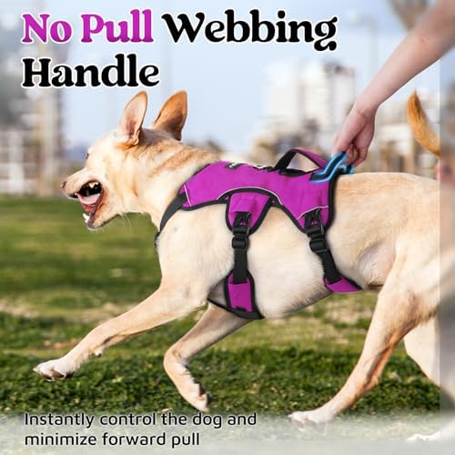 rabbitgoo Escape Proof Dog Harness