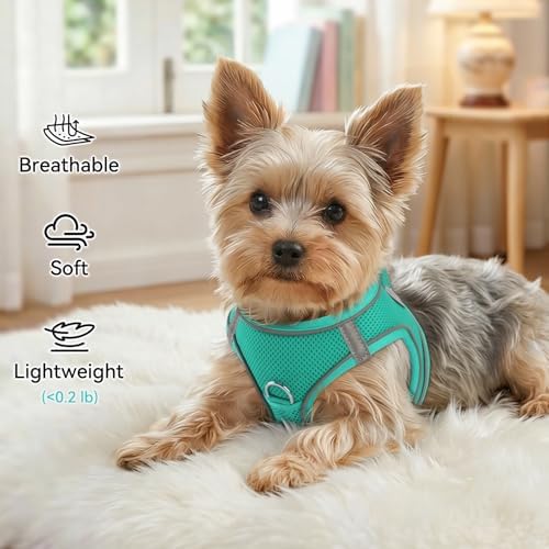 Joytale Step-in Dog Harness, Soft Breathable Mesh, Teal M