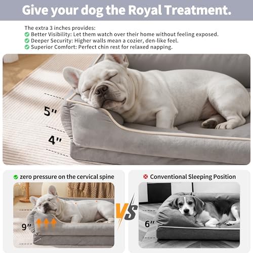 Orthopedic Dog Bed for Medium to Large Dogs & Cats