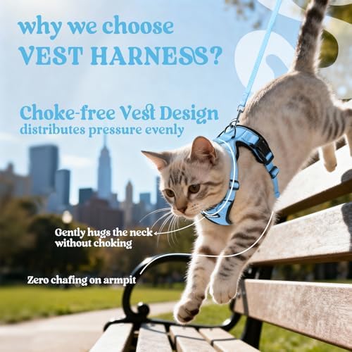 rabbitgoo Cat Harness and Leash Set, Escape Proof Vest, Light Blue
