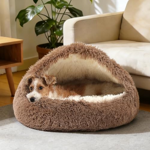 NOYAL Hooded Donut Bed, Calming Cave