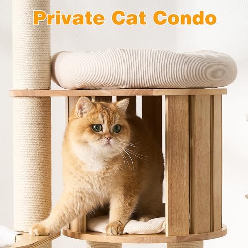 HITTITE Solid Wood Cat Tree Tower