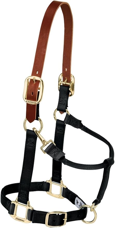 Weaver Equine Breakaway Horse Halter, Supple Leather Crown, Adjustable Chin & Throat Snap Halters for Horses, Equine Tack
