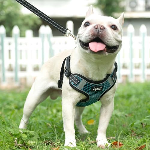 PUPTECK Dog Harness and Leash Set Medium Sized, Step in No Pull Adjustable