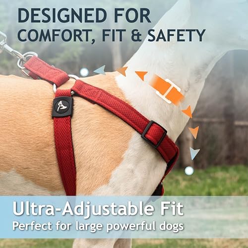 Kruz No Pull Dog Harness Heavy-Duty Pet Harness