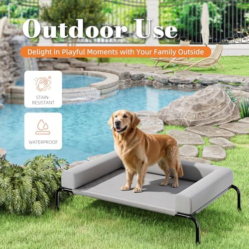 Simple Trending Elevated Dog Bed