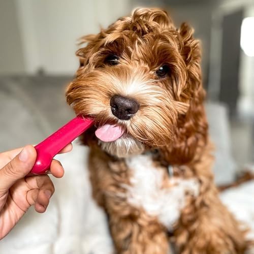 Nylabone Power Chew Original Bone Dog Chew Toys
