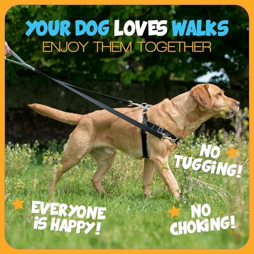 2 Hounds Design Freedom No Pull Dog Harness, 1 inch XL