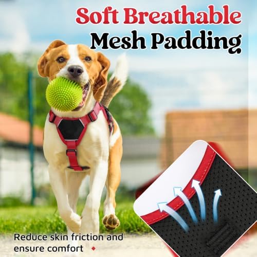 rabbitgoo Escape Proof Dog Harness