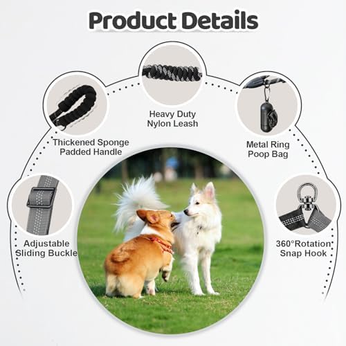 Double Dog Leash