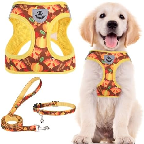 PUPTECK Dog Harness, Collar and Leash Set No Pull