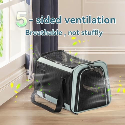Petsfit Soft-Sided Cat Carrier