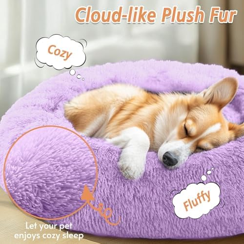 JOLLYVOGUE Calming Dog Bed for Small Dogs