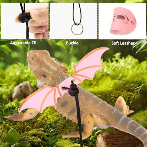 Bearded Dragon Carriers and Leather Leash