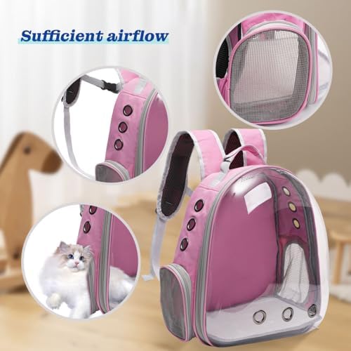 Vivicreate Large Cat Backpack Carrier