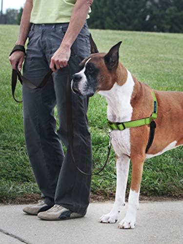 PetSafe Easy Walk Deluxe Dog Harness, No Pull Dog Harness – Perfect