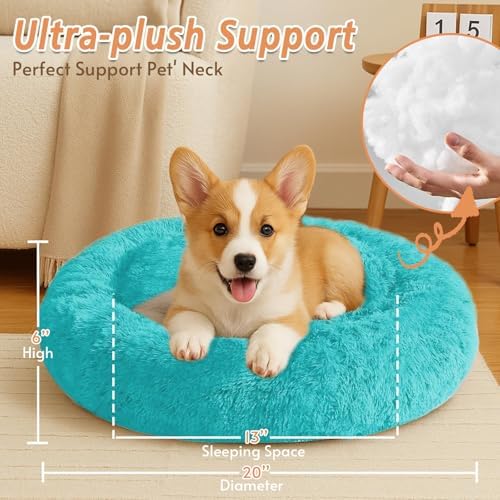JOLLYVOGUE Calming Small Dog & Cat Bed